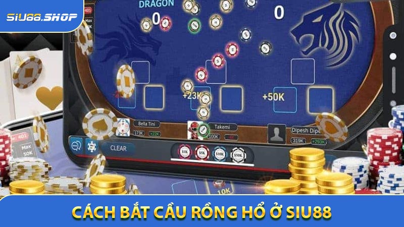 Cách bắt cầu rồng hổ ở SIU88 có thể bạn chưa biết