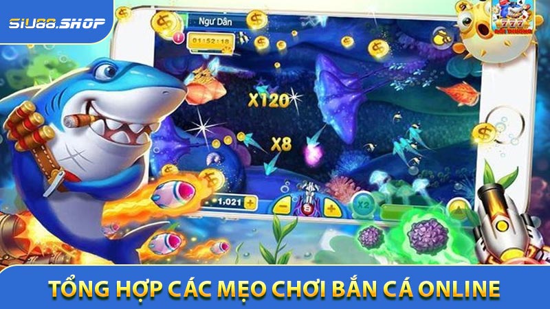 Kỹ thuật nâng cao Tổng hợp các mẹo chơi bắn cá online phải nhớ