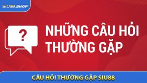 Câu Hỏi Thường Gặp SIU88 - Giải Đáp Chi Tiết Cho Người Chơi