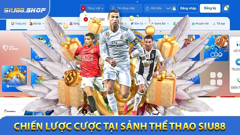 Chiến lược cược hiệu quả trong Thể thao SIU88