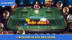 Cách Bắt Vị Xóc Đĩa - 3 Công Thức Soi Cầu Đảm Bảo Thắng Lớn