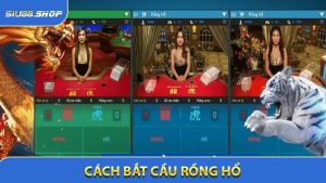 Cách Bắt Cầu Rồng Hổ - Soi Cầu Đỉnh Cao Giúp Bạn Thắng 90%
