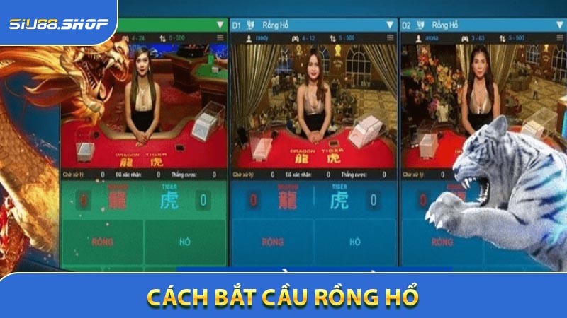 Cách Bắt Cầu Rồng Hổ - Soi Cầu Đỉnh Cao Giúp Bạn Thắng 90%