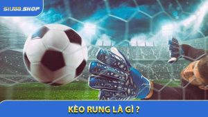 Kèo Rung Là Gì - Giải Thích Đơn Giản Và Cách Cược Hiệu Quả