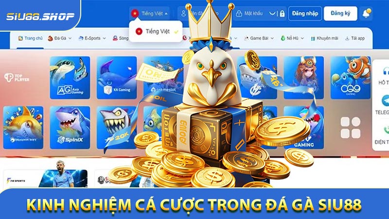 Kinh nghiệm cá cược trong Đá gà SIU88