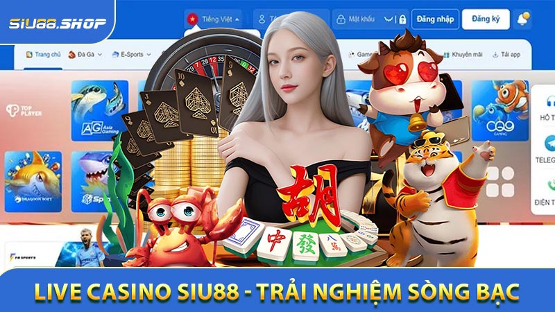 Live casino SIU88 có gì lôi cuốn?