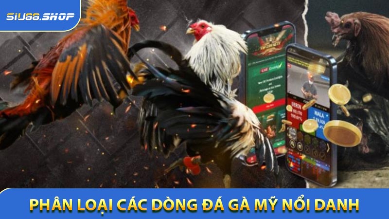 Phân loại các dòng đá gà Mỹ nổi danh thế giới