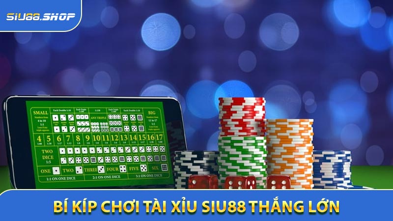 Bí Kíp Chơi Tài Xỉu SIU88 Thắng Lớn Từ Các Game Thủ Kinh Nghiệm