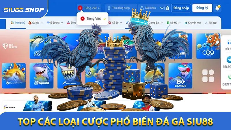 Top Các loại cược phổ biến trong Đá gà SIU88
