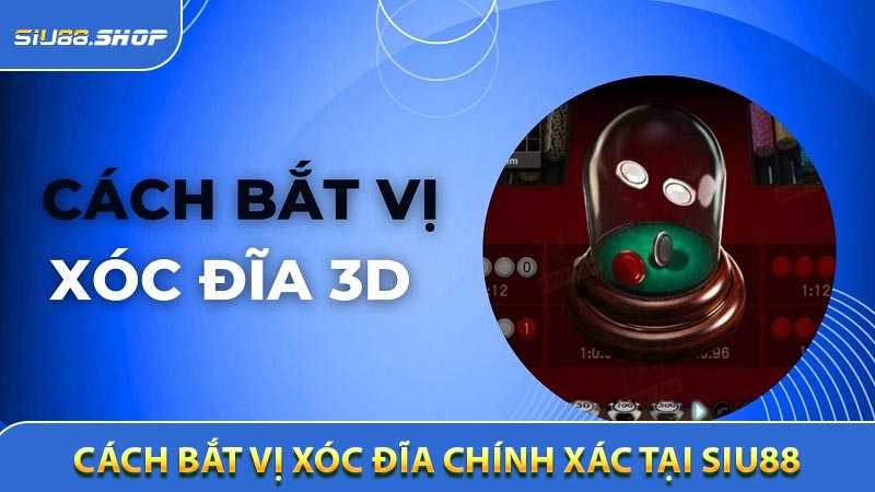 Cách bắt vị xóc đĩa chính xác tại SIU88 cho cao thủ
